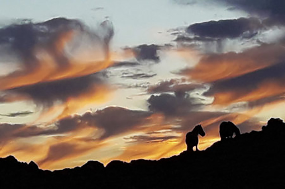 Caballos_atardecer