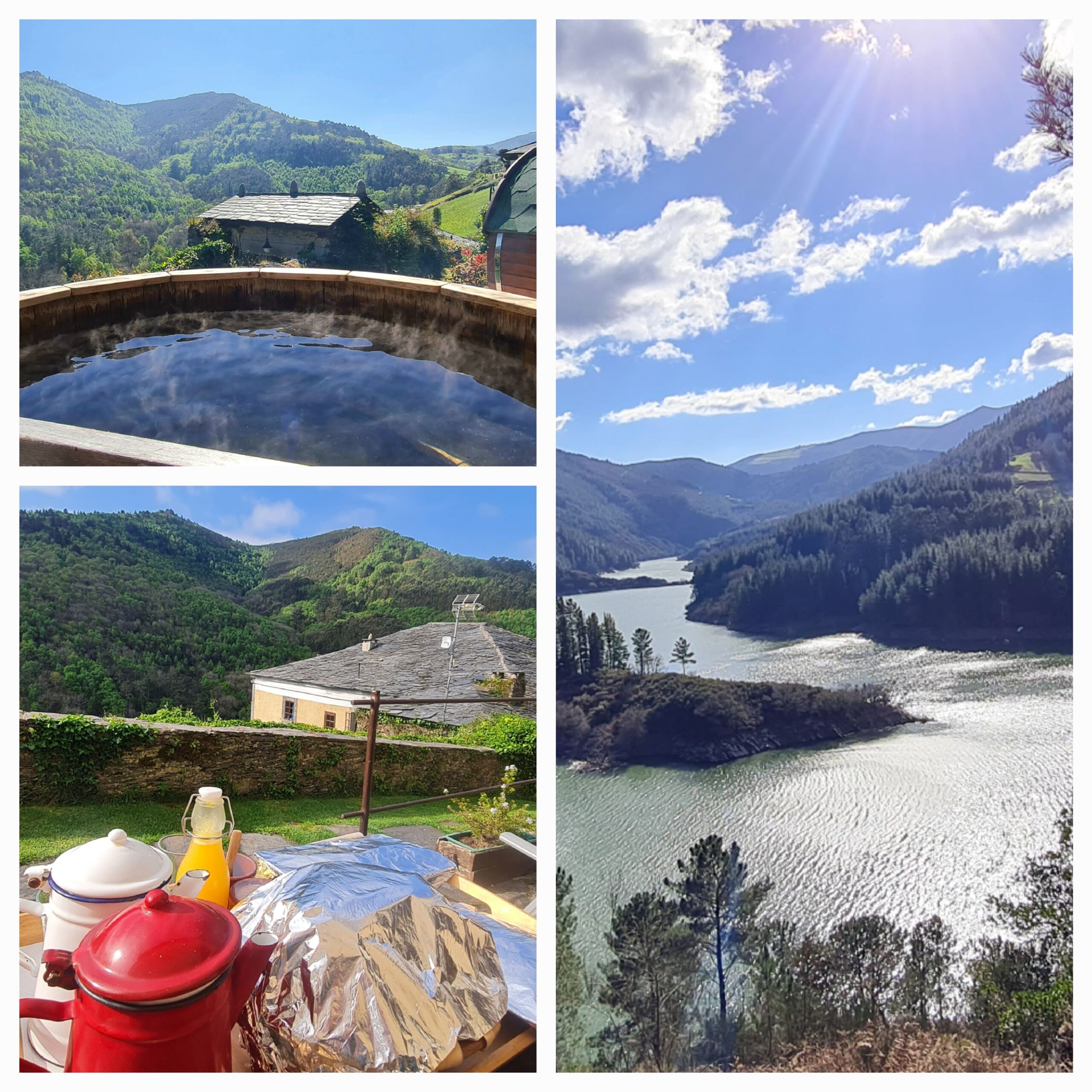 Especial Puente de Mayo - El Bosque de las Viñas