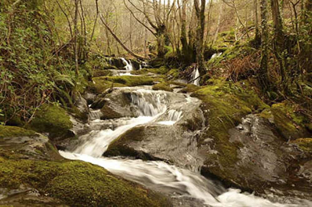 Salto_en_el_rio